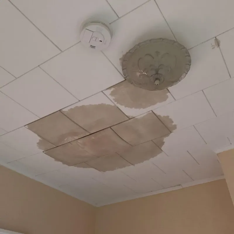 Ceiling Water Damage Repair in Crawford County, GA