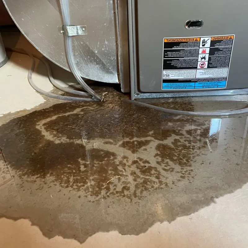 Pipe Burst and Leak Restoration in Crawford County, GA