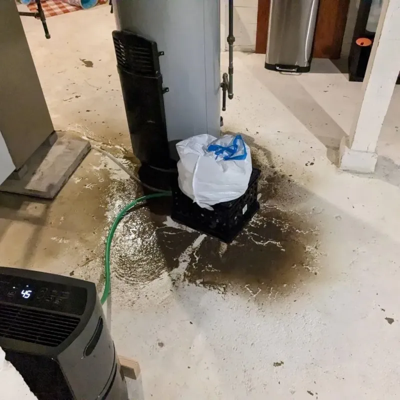 Sewage Backup Cleanup Service in Crawford County, GA